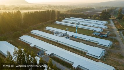 望江县长江流域农副产品冷链物流基地建设项目 推动农业现代化与区域经济发展